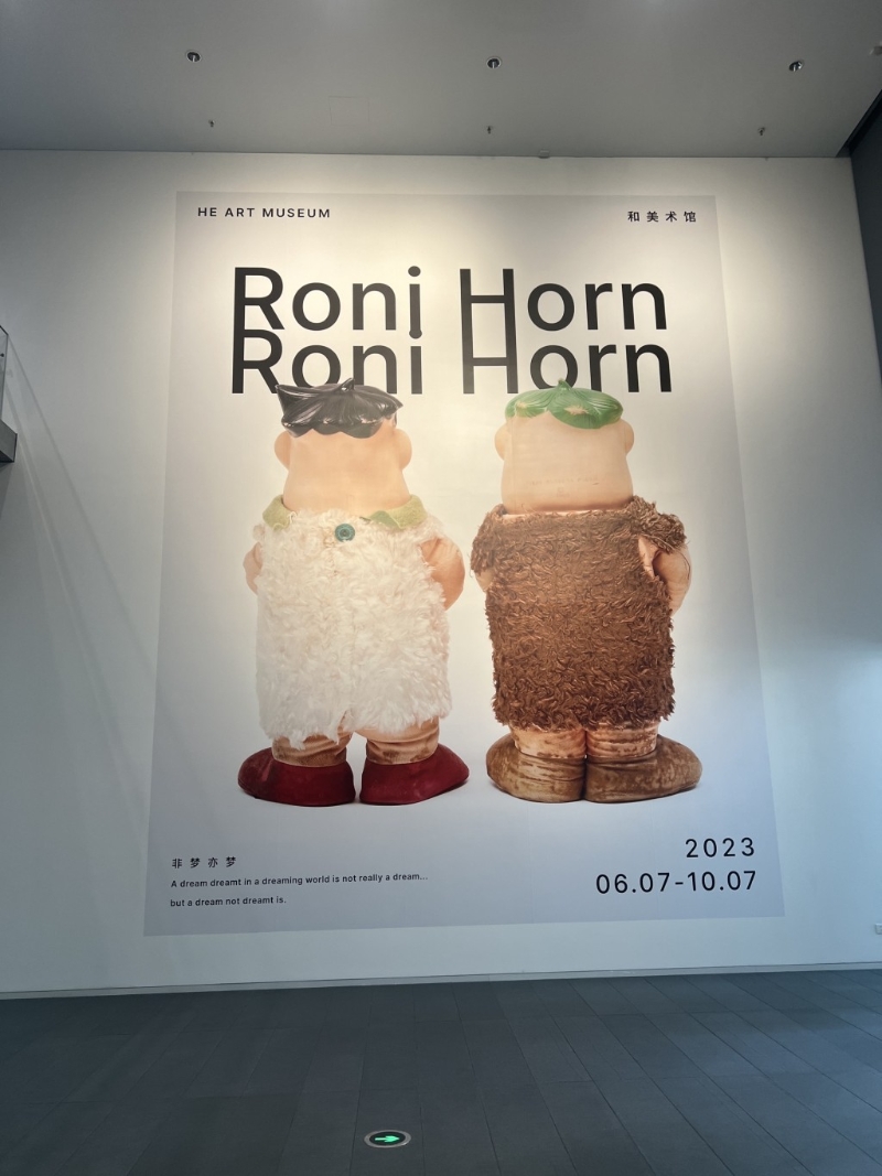 和美術館 Roni Horn《非夢亦夢》展覽，展期至2023年10月7日。圖：Trip@飛奔中的狼8