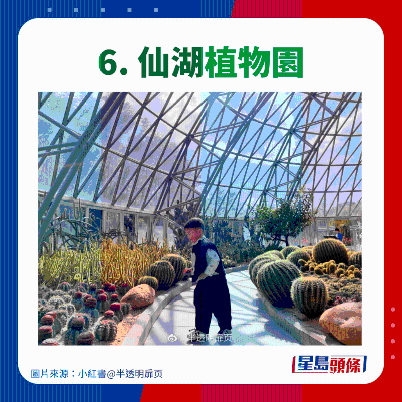 6. 仙湖植物園