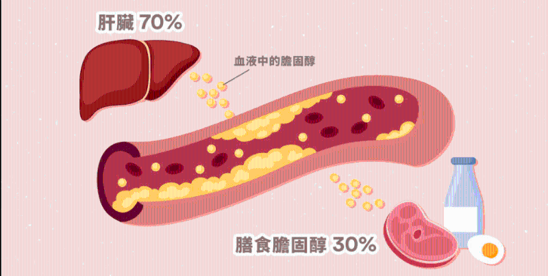 血液中的膽固醇，只有20至30%是直接經由食物吸收（圖片來源：「Nutri Life 注冊營養師」facebook）