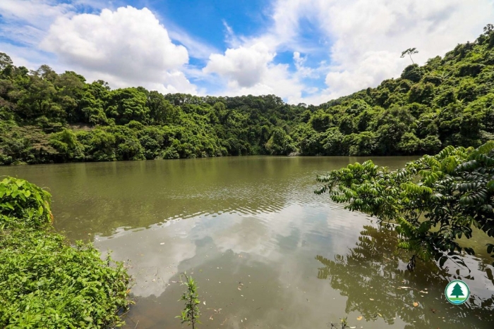 大欖郊野公園─清潭上灌溉水塘