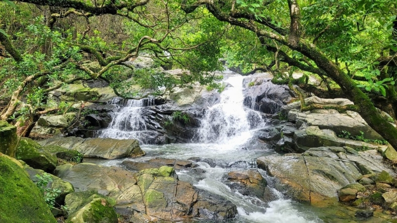 蓮苑臺瀑布 雖然面積較細，瀑布也不算高，但水流湍急，形成一道一道小浪頭。